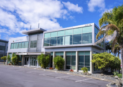 immigration auckland